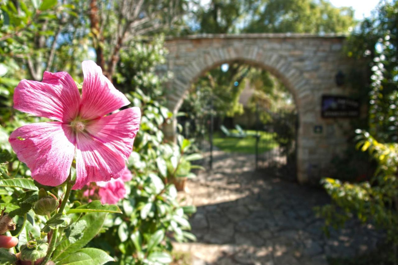 Boutique B&B Stancija 1904 Adults Only Svetvinčenat Εξωτερικό φωτογραφία